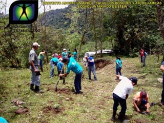 Ecovoluntarios de stein se une a xtremas