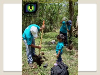Ecovoluntarios de stein se une a xtremas