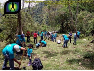Ecovoluntarios de stein se une a xtremas