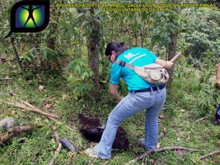 Ecovoluntarios de stein se une a xtremas