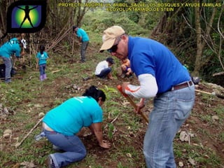 Ecovoluntarios de stein se une a xtremas