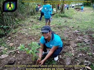 Ecovoluntarios de stein se une a xtremas