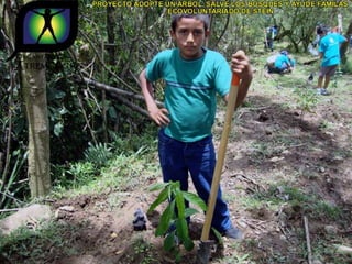 Ecovoluntarios de stein se une a xtremas