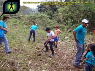 Ecovoluntarios de stein se une a xtremas