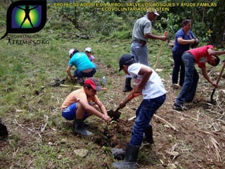 Ecovoluntarios de stein se une a xtremas