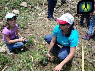 Ecovoluntarios de stein se une a xtremas