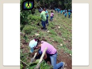 Ecovoluntarios de stein se une a xtremas
