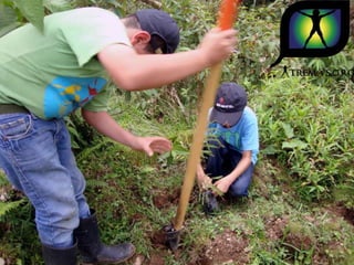 Ecovoluntarios de stein se une a xtremas