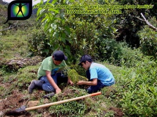 Ecovoluntarios de stein se une a xtremas