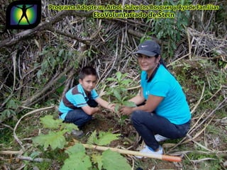 Ecovoluntarios de stein se une a xtremas
