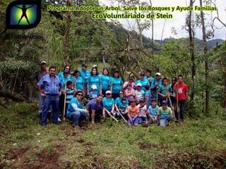 Ecovoluntarios de stein se une a xtremas