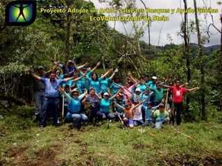 Ecovoluntarios de stein se une a xtremas