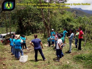 Ecovoluntarios de stein se une a xtremas