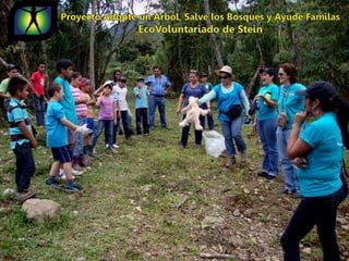 Ecovoluntarios de stein se une a xtremas