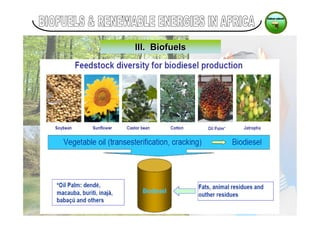 Beyond Fossil Fuels: Biofuel Opportunities for Africa | PDF