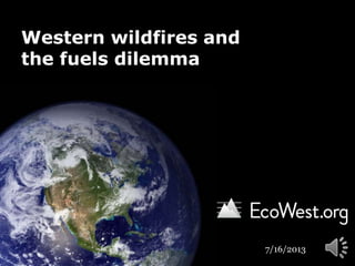 Western wildfires and
the fuels dilemma
7/16/2013
 