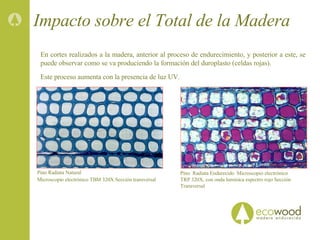 Pino  Radiata Endurecido  Microscopio electrónico TRP 320X, con onda lumínica espectro rojo Sección Transversal Impacto sobre el Total de la Madera Pino Radiata Natural  Microscopio electrónico TBM 320X Sección transversal  En cortes realizados a la madera, anterior al proceso de endurecimiento, y posterior a este, se puede observar como se va produciendo la formación del duroplasto (celdas rojas). Este proceso aumenta con la presencia de luz UV. 