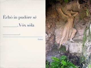 Ēchō in pudōre sē
_______.Vōx sōla
________.
Pictūra
 