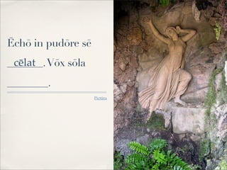 Ēchō in pudōre sē
_______.Vōx sōla
________.
Pictūra
cēlat
 