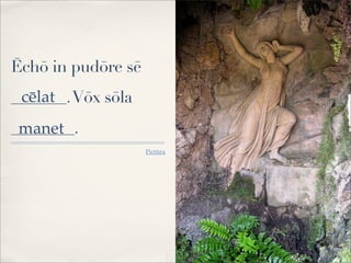 Ēchō in pudōre sē
_______.Vōx sōla
________.
Pictūra
cēlat
manet
 