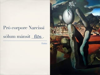 Prō corpore Narcissī
sōlum mānsit _____.
Pictūra
ﬂōs
 