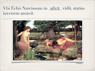 Vbi Ēchō Narcissum in ______ vīdit, statim
iuvenem amāvit.
Pictūra
silvā
 
