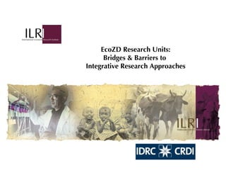 EcoZD Research Units: Bridges & Barriers to  Integrative Research Approaches 