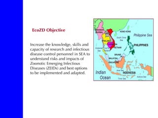 EcoZD research units: Bridges and barriers to integrative research approaches