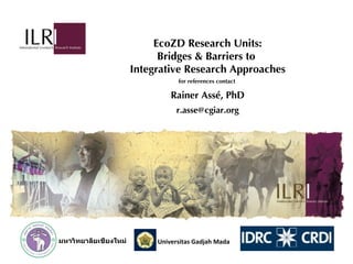 EcoZD research units: Bridges and barriers to integrative research approaches