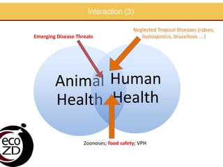 EcoHealth approach to control of zoonotic emerging infectious diseases in Southeast Asia: Sharing the experiences