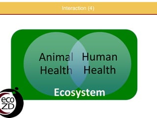 EcoHealth approach to control of zoonotic emerging infectious diseases in Southeast Asia: Sharing the experiences