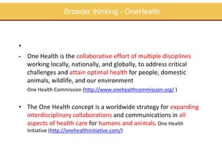 EcoHealth approach to control of zoonotic emerging infectious diseases in Southeast Asia: Sharing the experiences