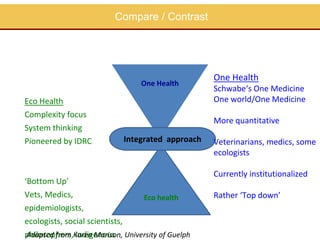 EcoHealth approach to control of zoonotic emerging infectious diseases in Southeast Asia: Sharing the experiences