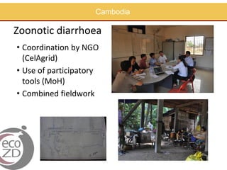 EcoHealth approach to control of zoonotic emerging infectious diseases in Southeast Asia: Sharing the experiences