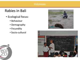 EcoHealth approach to control of zoonotic emerging infectious diseases in Southeast Asia: Sharing the experiences