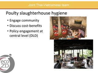 EcoHealth approach to control of zoonotic emerging infectious diseases in Southeast Asia: Sharing the experiences