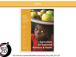 EcoHealth approach to control of zoonotic emerging infectious diseases in Southeast Asia: Sharing the experiences