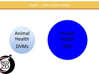EcoHealth approach to control of zoonotic emerging infectious diseases in Southeast Asia: Sharing the experiences