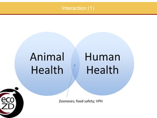EcoHealth approach to control of zoonotic emerging infectious diseases in Southeast Asia: Sharing the experiences