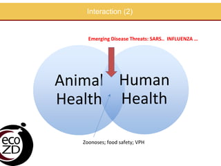 EcoHealth approach to control of zoonotic emerging infectious diseases in Southeast Asia: Sharing the experiences