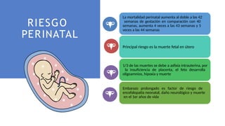 RIESGO
PERINATAL
La mortalidad perinatal aumenta al doble a las 42
semanas de gestación en comparación con 40
semanas, aumenta 4 veces a las 43 semanas y 5
veces a las 44 semanas
Principal riesgo es la muerte fetal en útero
1/3 de las muertes se debe a asfixia intrauterina, por
la insuficiencia de placenta, el feto desarrolla
oligoamnios, hipoxia y muerte
Embarazo prolongado es factor de riesgo de
encefalopatia neonatal, daño neurológico y muerte
en el 1er años de vida
 