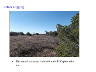 Before Digging 
• The natural landscape is cleared at the El Capitan mine 
site. 
 