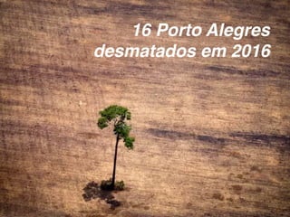 16 Porto Alegres
desmatados em 2016
 