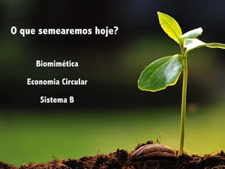 O que semearemos hoje?
Biomimética
Sistema B
Economia Circular
 