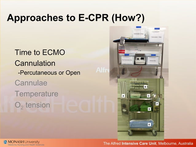ECPR by Vincent Pellegrino 2016 | PDF | First Aid | Injuries