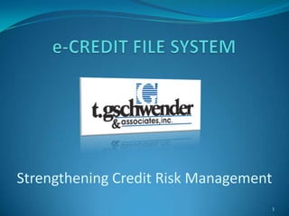 Strengthening Credit Risk Management
                                   1
 
