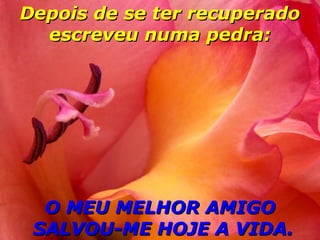 Depois de se ter recuperado
escreveu numa pedra:

O MEU MELHOR AMIGO
SALVOU-ME HOJE A VIDA.

 