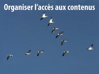 Organiser l’accès aux contenus
 