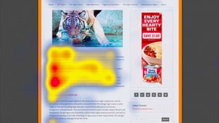 Ecrire pour internet et les blogs