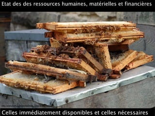 http://www.flickr.com/photos/meg_nicol/1416610979
Etat des des ressources humaines, matérielles et financières
Celles immédiatement disponibles et celles nécessaires
 